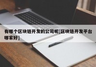 有哪个区块链开发的公司呢[区块链开发平台哪家好]