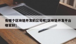 有哪个区块链开发的公司呢[区块链开发平台哪家好]